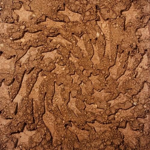 Cover image for Unerthed: Hole Erth Unplugged