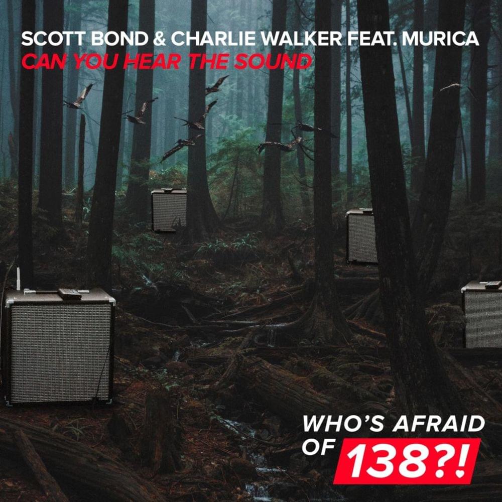 Album cover art for "Can You Hear the Sound" by Armin van Buuren & Murica (USA)
