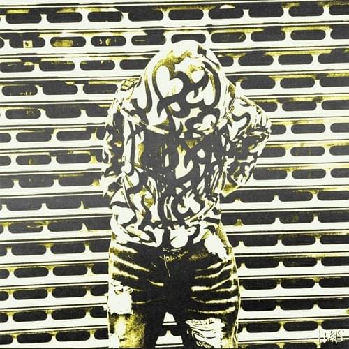 Album cover art for "dummY" by maajins