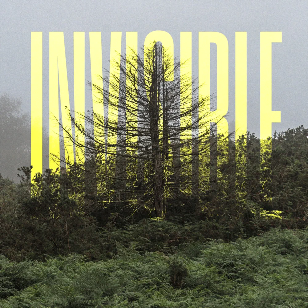 Cover image for The Invisible EP