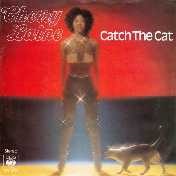 Catch The Cat by Cherry Laine