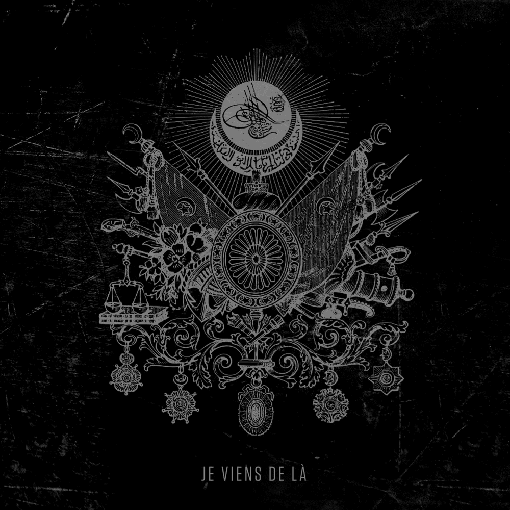 Cover image for Je viens de là