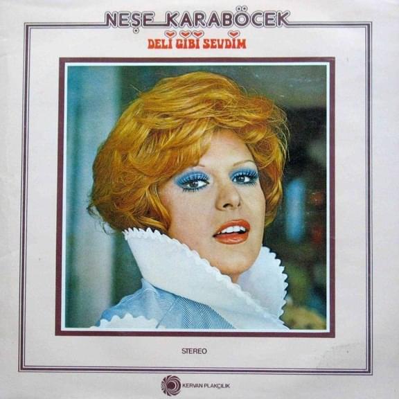 Cover image for Deli Gibi Sevdim