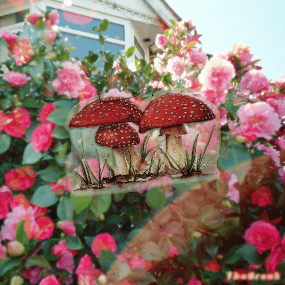Amanita by TheBreak