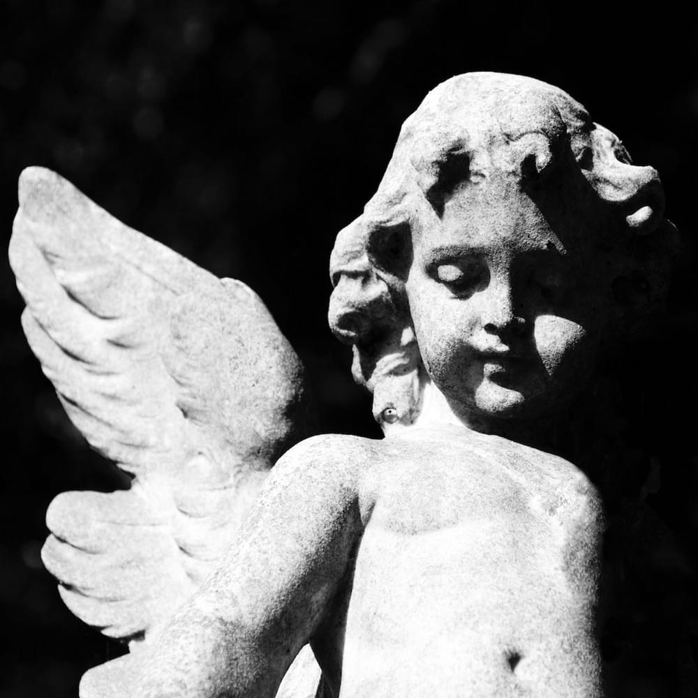 Cover image for Passion Depression