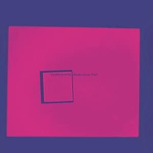 Cover image for Beaucoup Fish (Remastered / Super Deluxe)