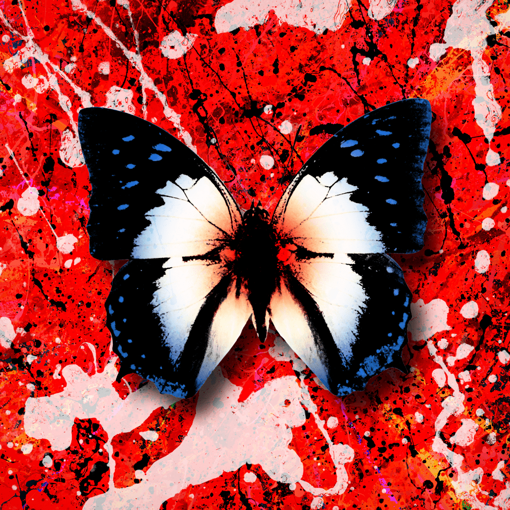 Album cover art for "2step (Australian Remix)" by Ed Sheeran & Budjerah