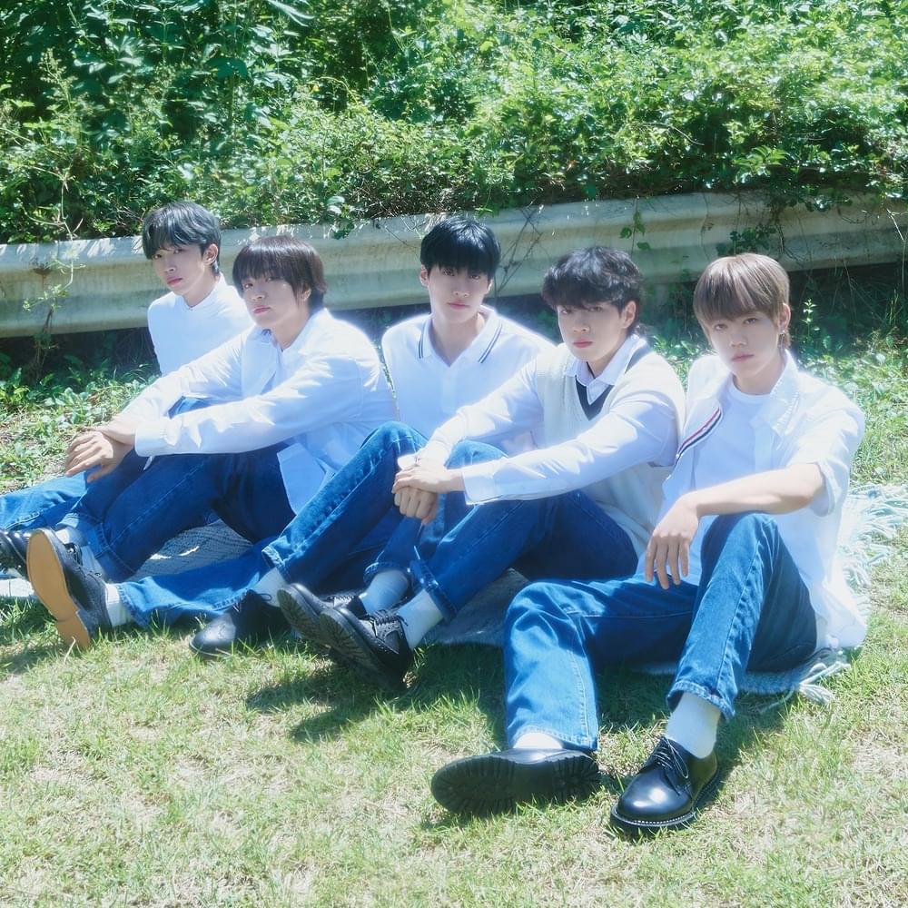 Cover image for N.Flying