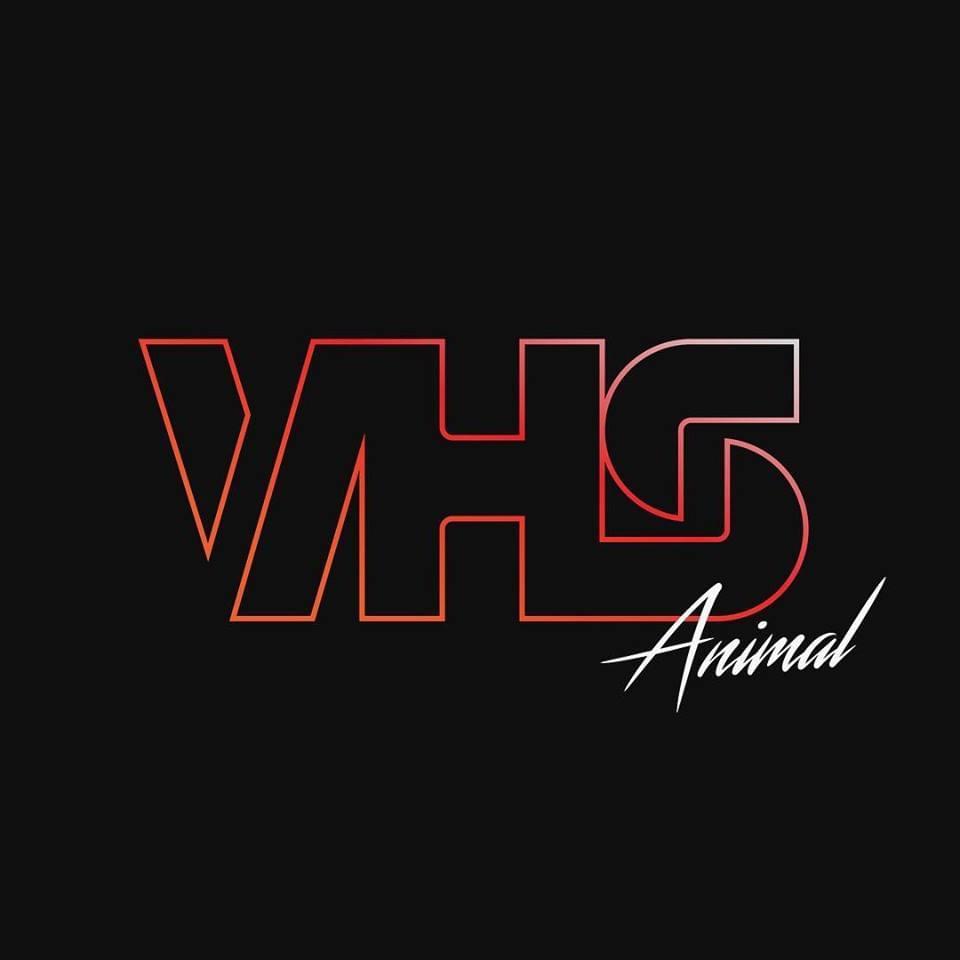 Album cover art for "Animal" by VHS Collection