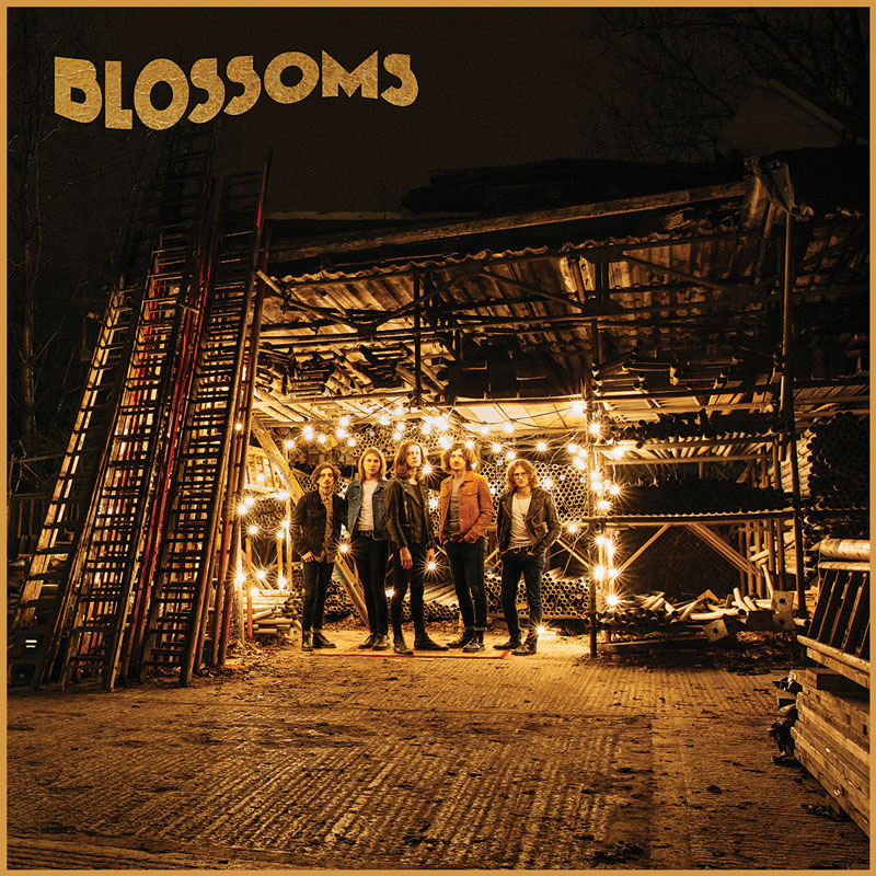 My Favourite Room by Blossoms
