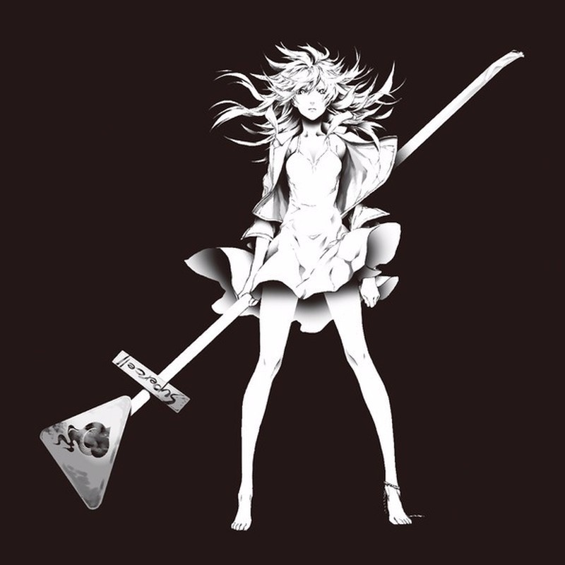 Cover image for ZIGAEXPERIENTIA
