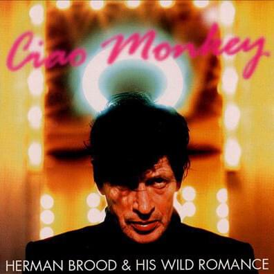 When I Get Home by Herman Brood