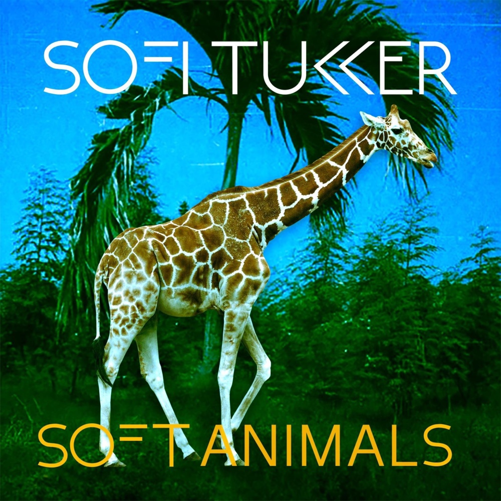 Cover image for Soft Animals - EP