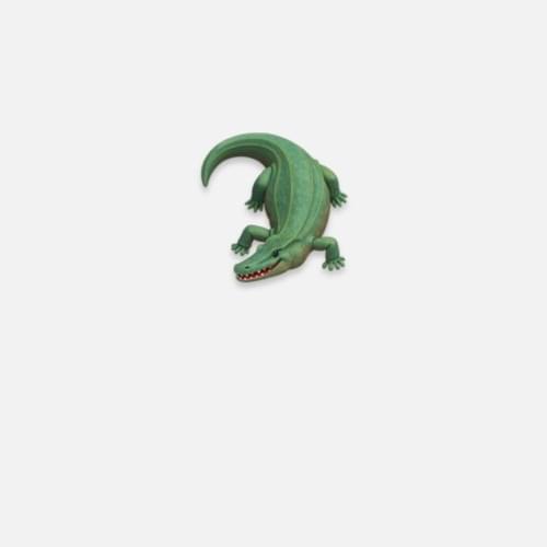 Cover image for Crocodile - EP