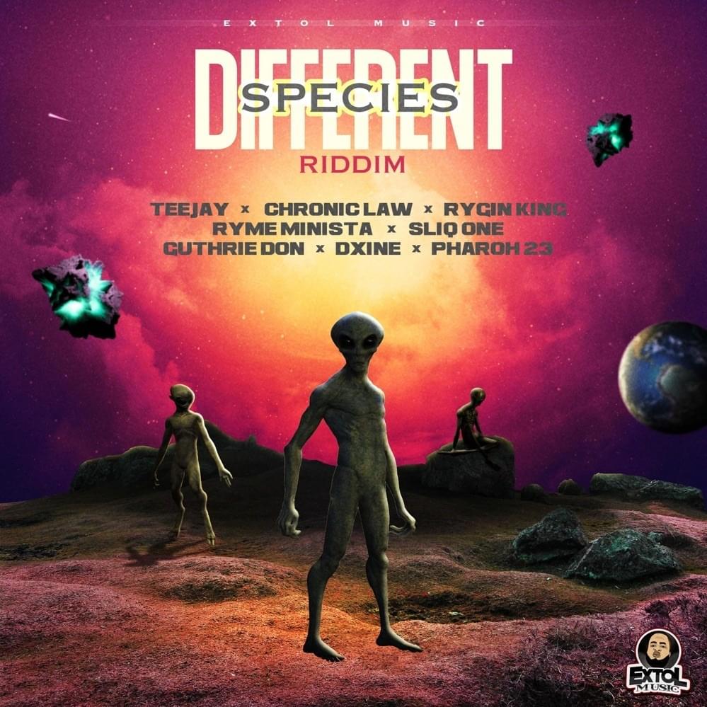 Cover image for Different Species Riddim