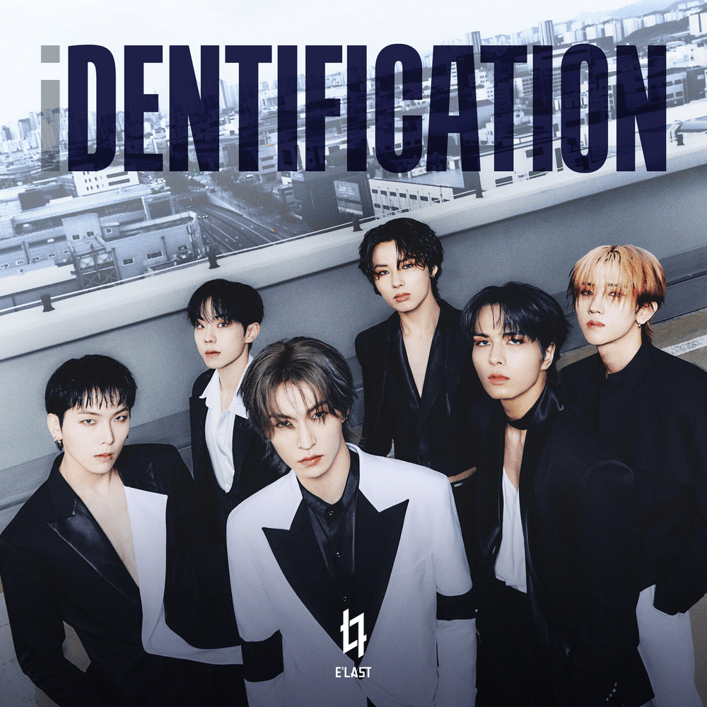 Cover image for iDENTIFICATION
