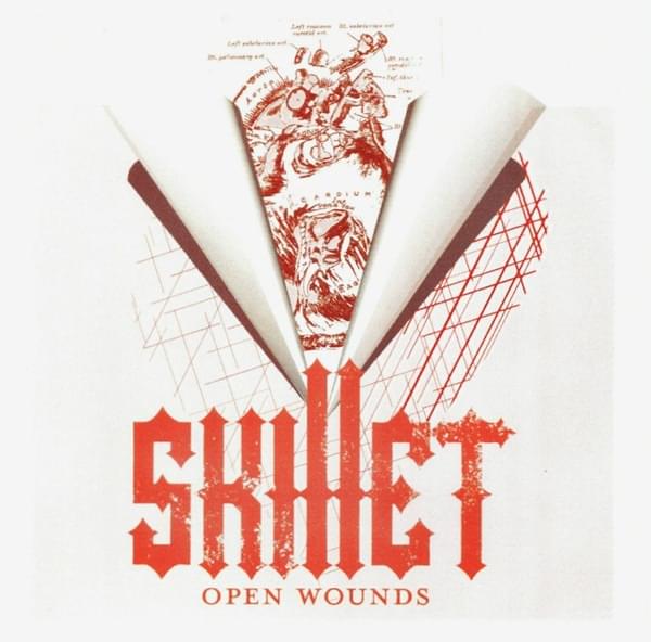 Album cover art for "Open Wounds" by Skillet