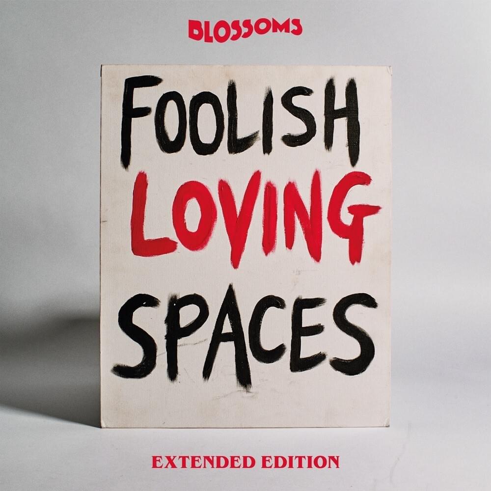 Cover image for Foolish Loving Spaces (Extended Edition)