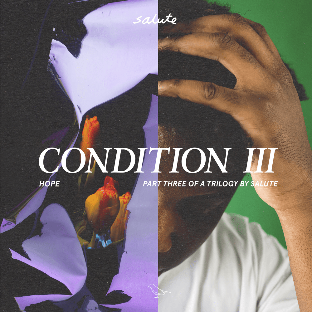 Cover image for Condition III