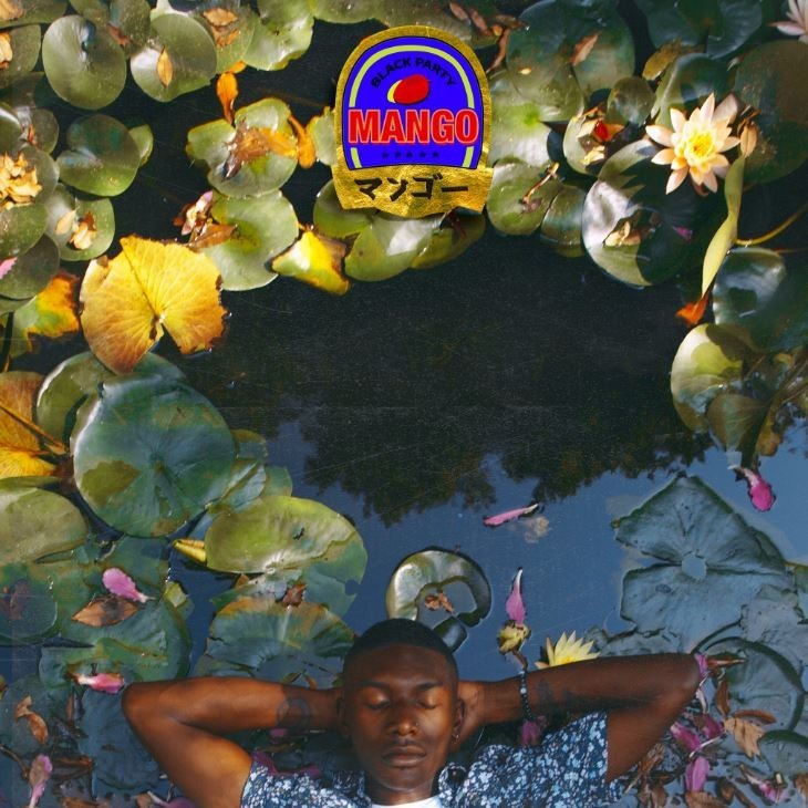 Album cover art for "Summer Love" by bLAck pARty