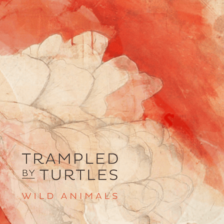 Album cover art for "Wild Animals" by Trampled by Turtles & Alan Sparhawk & Lauren Josephine