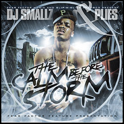 Cover image for The Calm Before the Storm