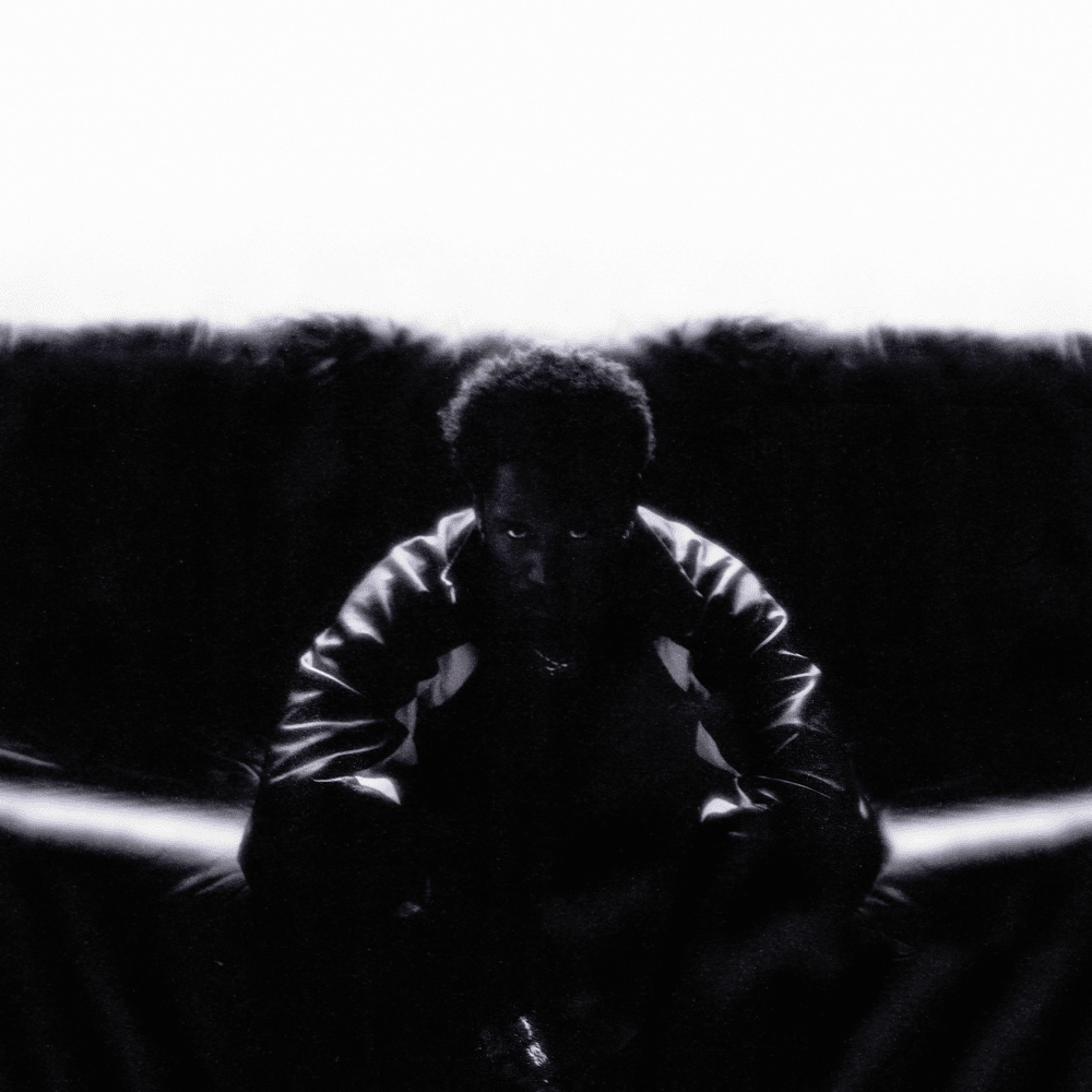Cover image for TIMELESS