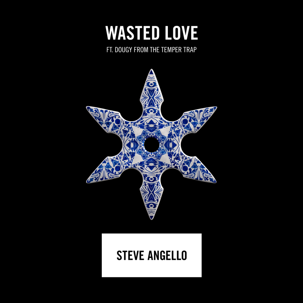 Wasted Love by Steve Angello
