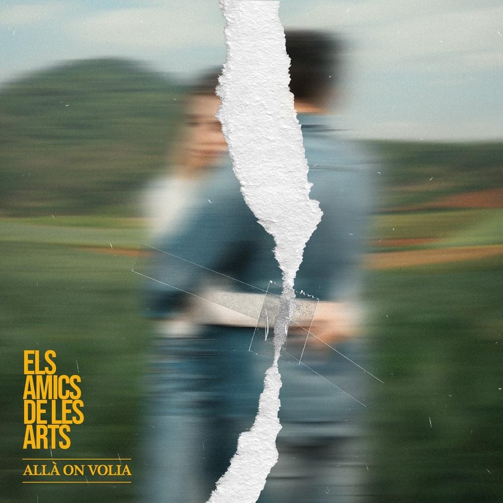 La nit sembla que serà nostra by Els Amics De Les Arts