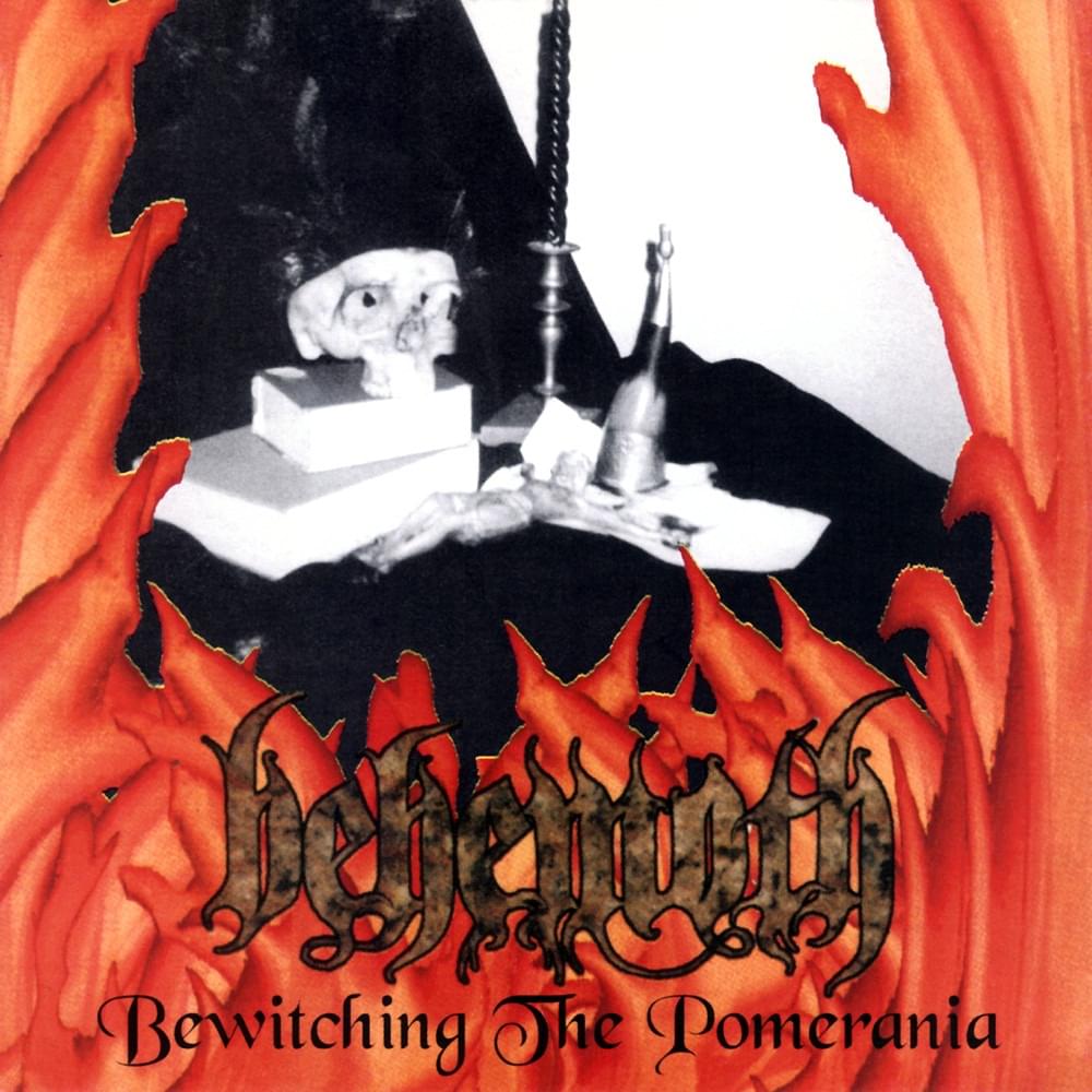 Cover image for Bewitching the Pomerania