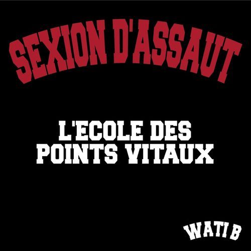 Album cover art for "L’école des points vitaux" by Sexion d’Assaut
