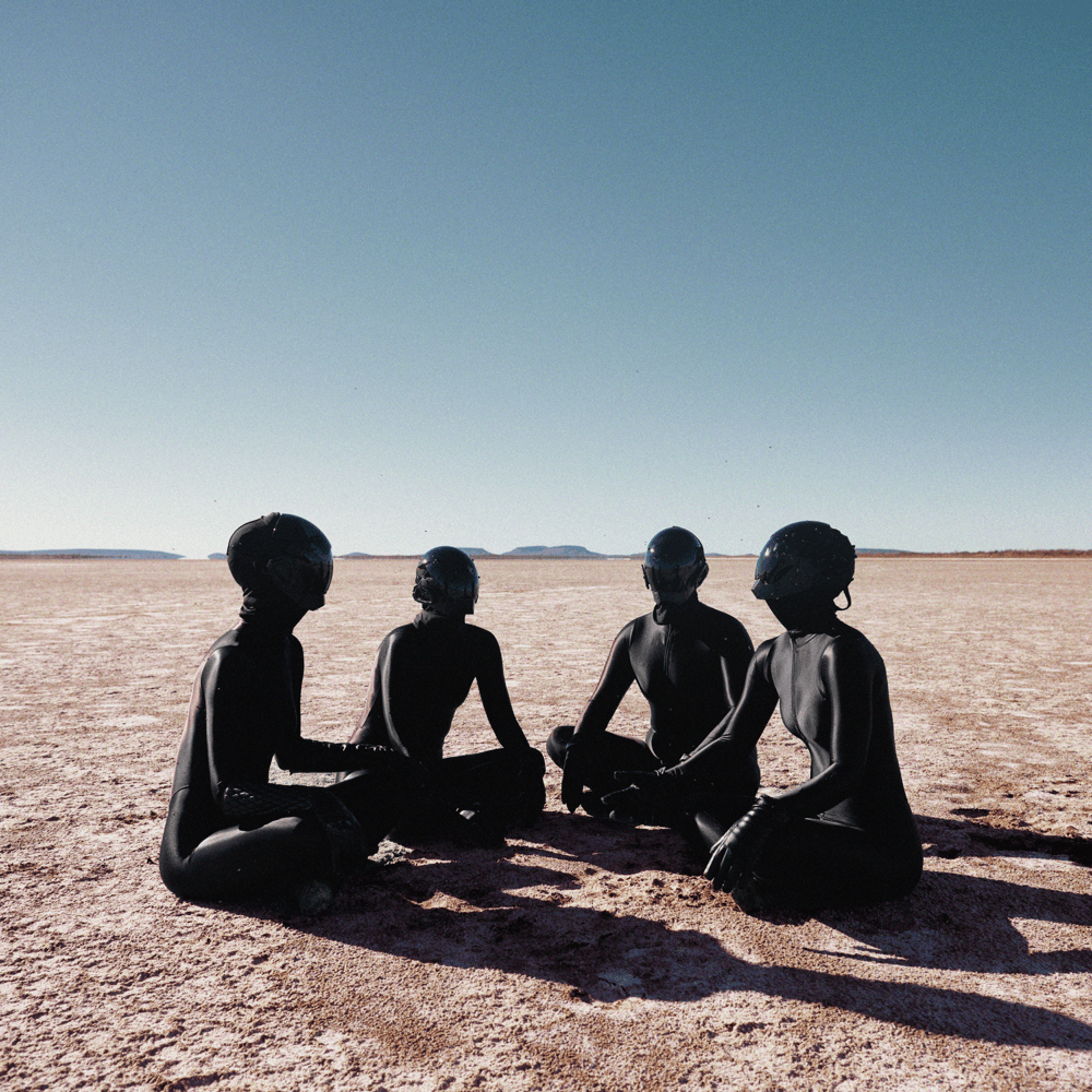 The Blacks by RONA.