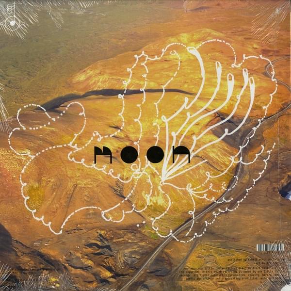 Album cover art for "Moon (The Slips Remix)" by Björk
