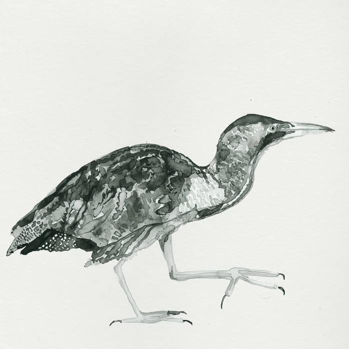 Cover image for Wake Up Call