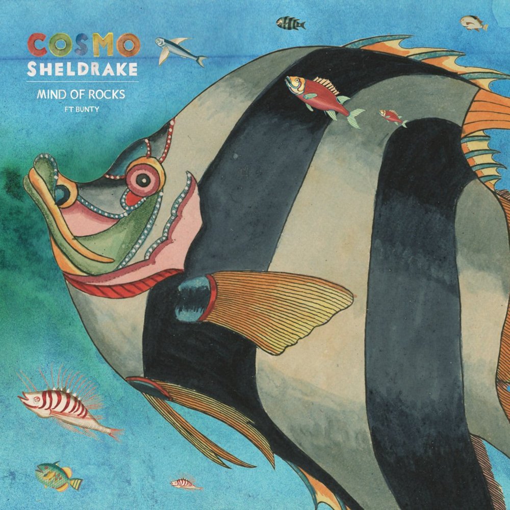 Album cover art for "Mind of Rocks" by Cosmo Sheldrake & Bunty