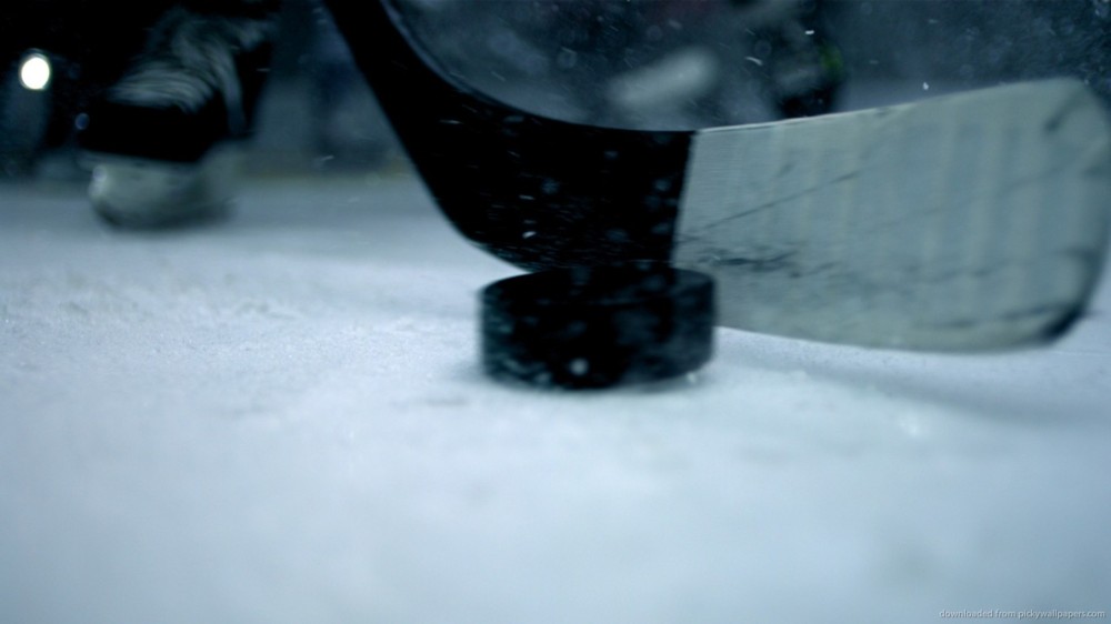 Album cover art for "Glossary of Hockey Terms" by Sports Genius
