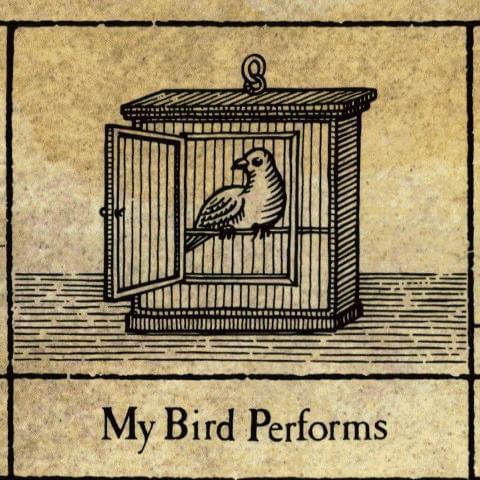 Album cover art for "My Bird Performs" by XTC