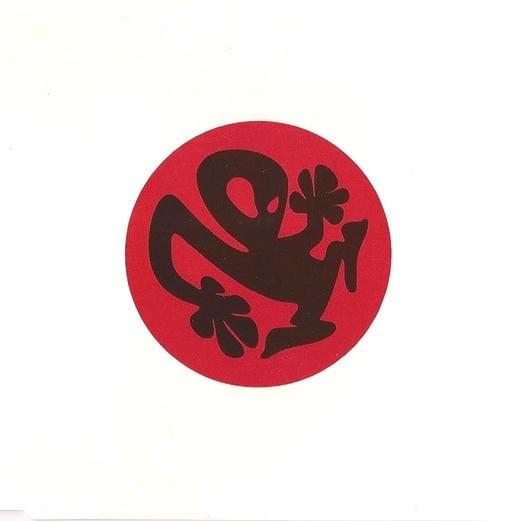 Cover image for Plastique