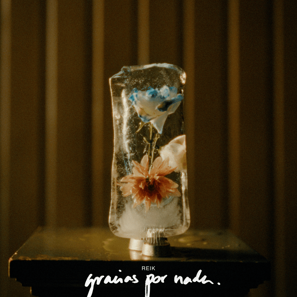 Album cover art for "Gracias por Nada" by Reik
