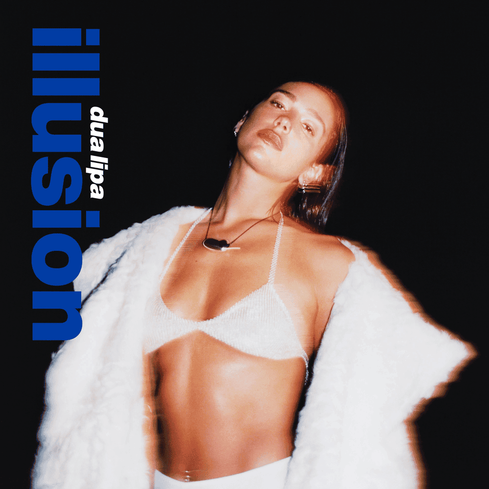 Cover image for Illusion
