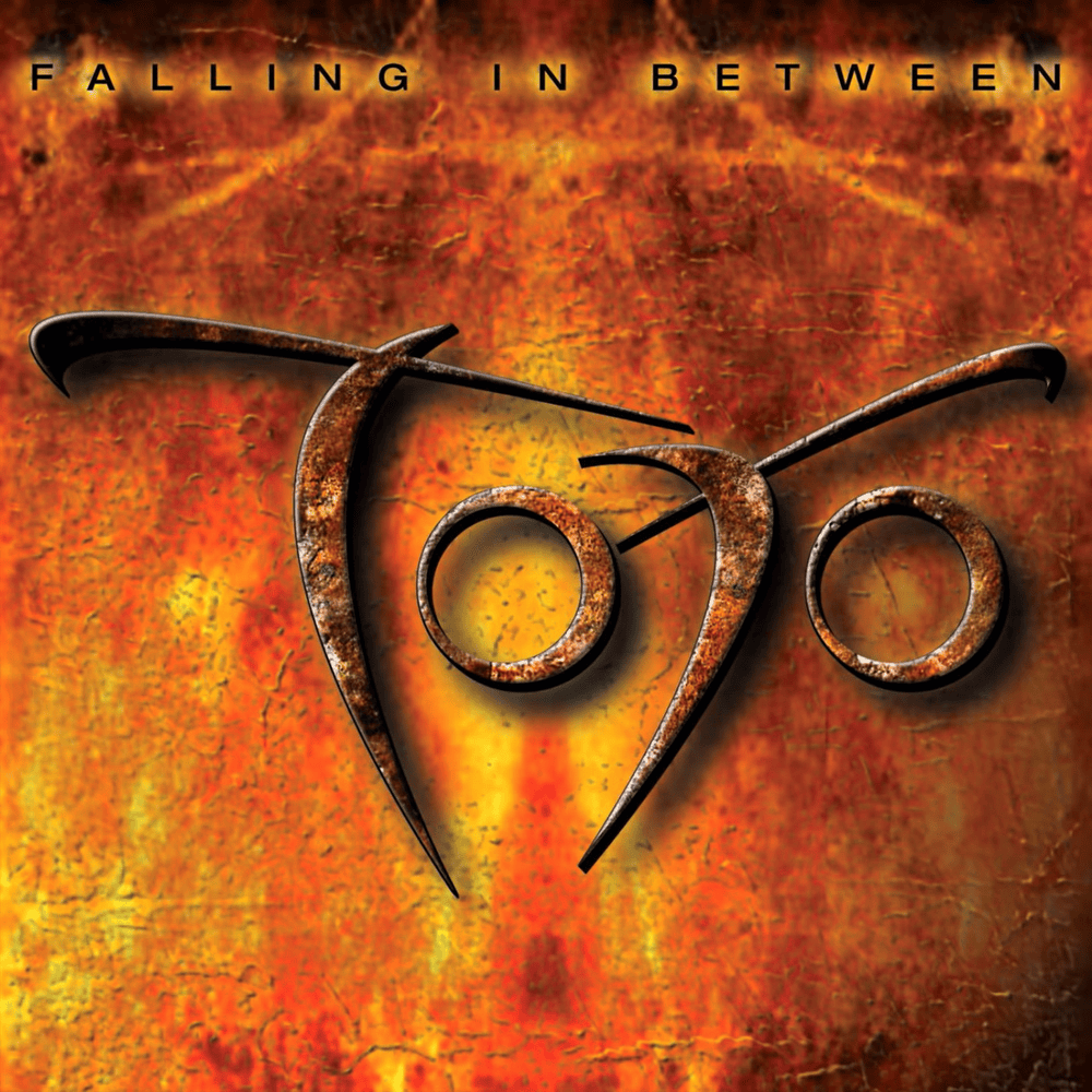 Cover image for Falling in Between