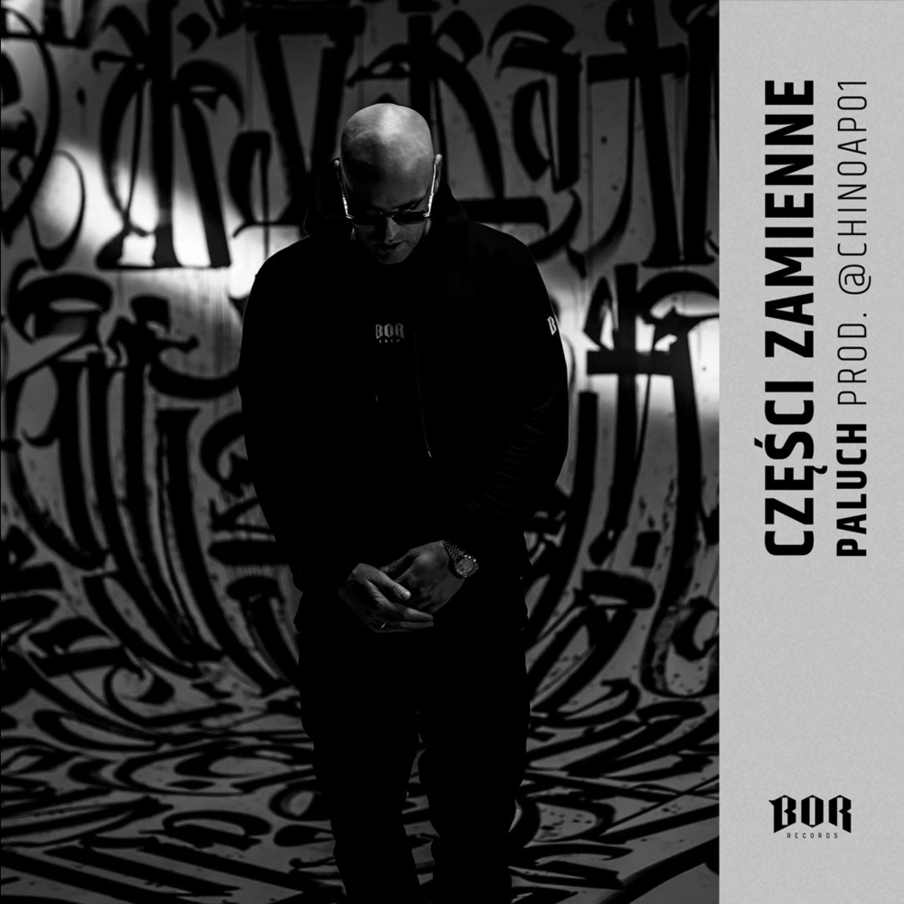 Album cover art for "Części zamienne" by Paluch