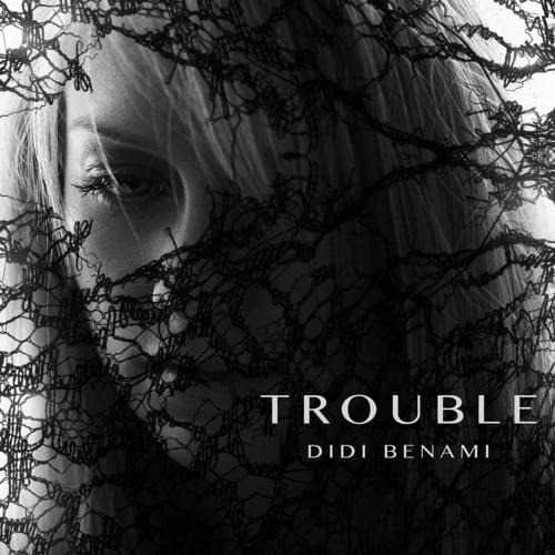 Trouble by Didi Benami