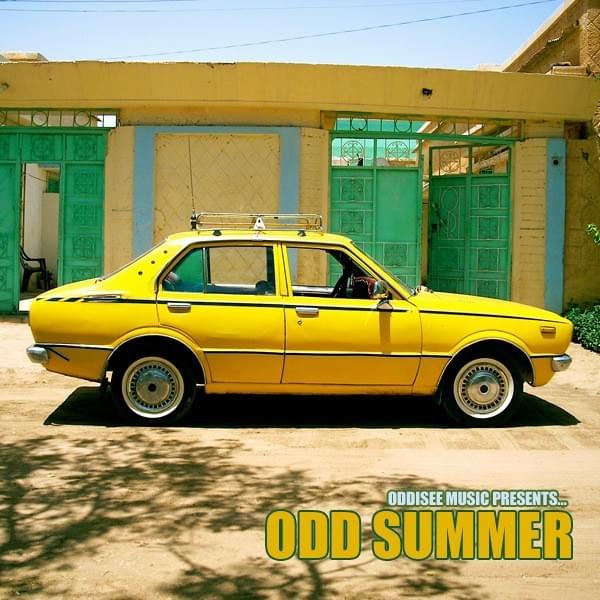 Cover image for Odd Summer