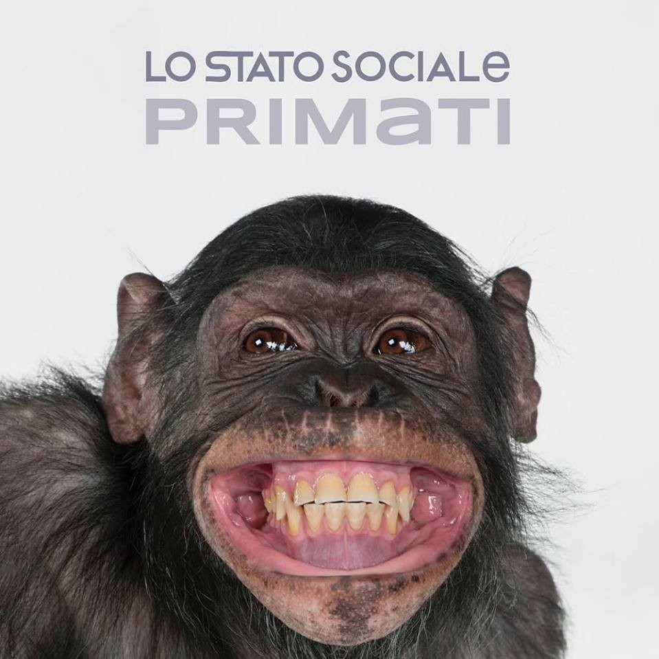 Cover image for Primati