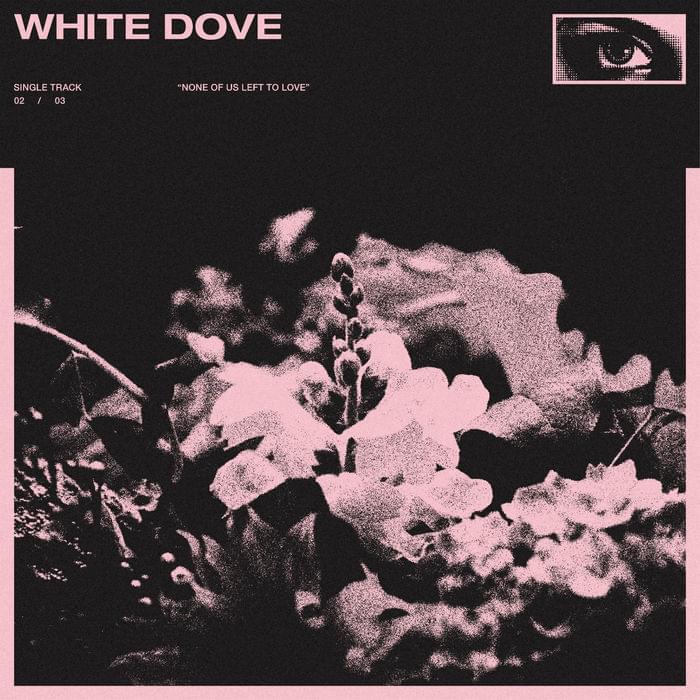 ​white dove by Koda