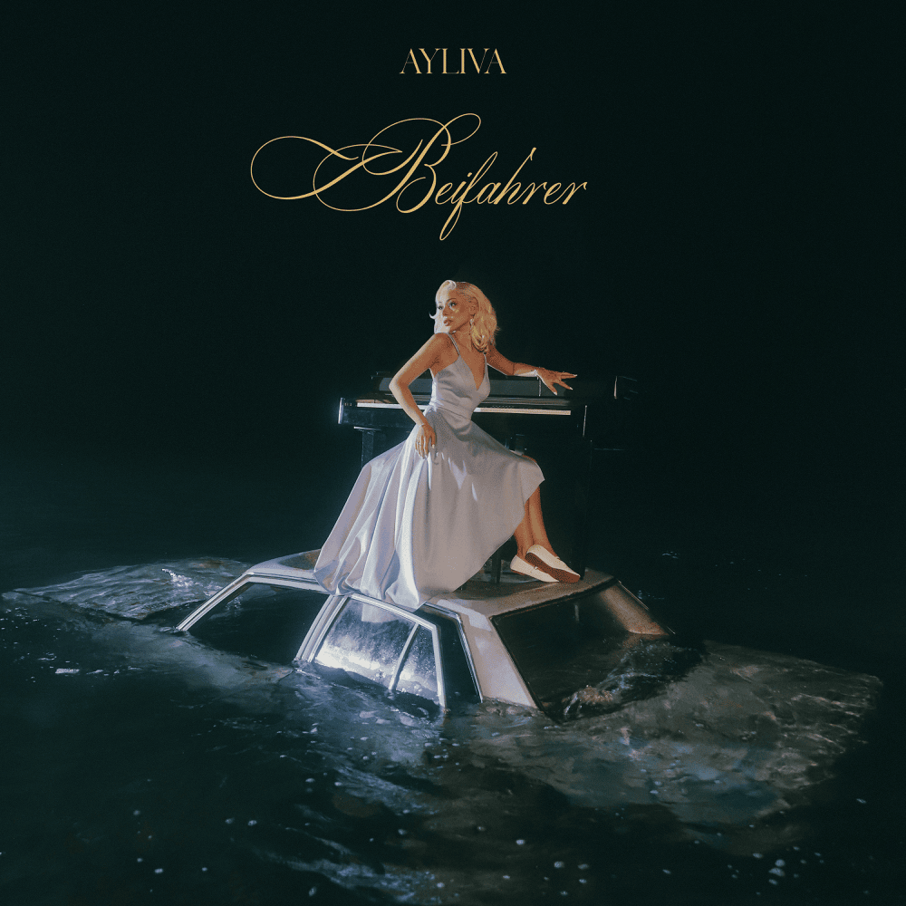 Album cover art for "Beifahrer" by Bravo Hits