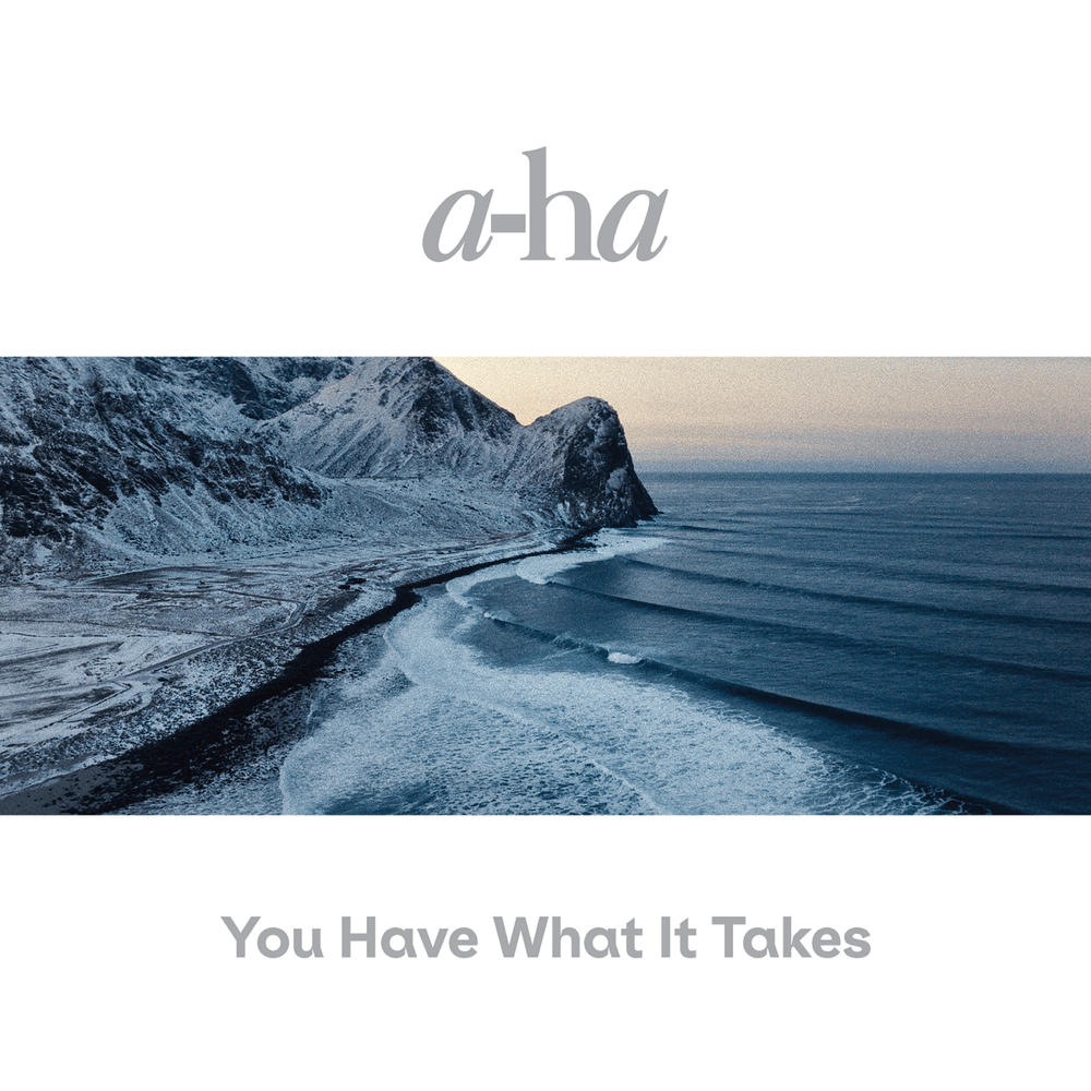 Album cover art for "You Have What It Takes" by a-ha