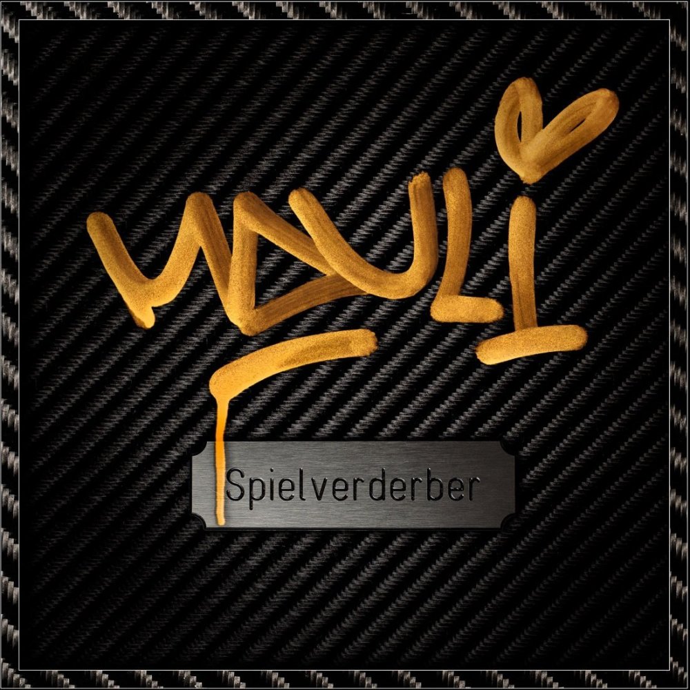 Cover image for Spielverderber