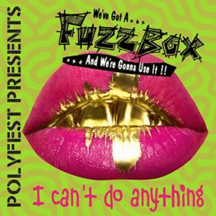 I can’t do anything by We’ve Got A Fuzzbox And We’re Gonna Use It